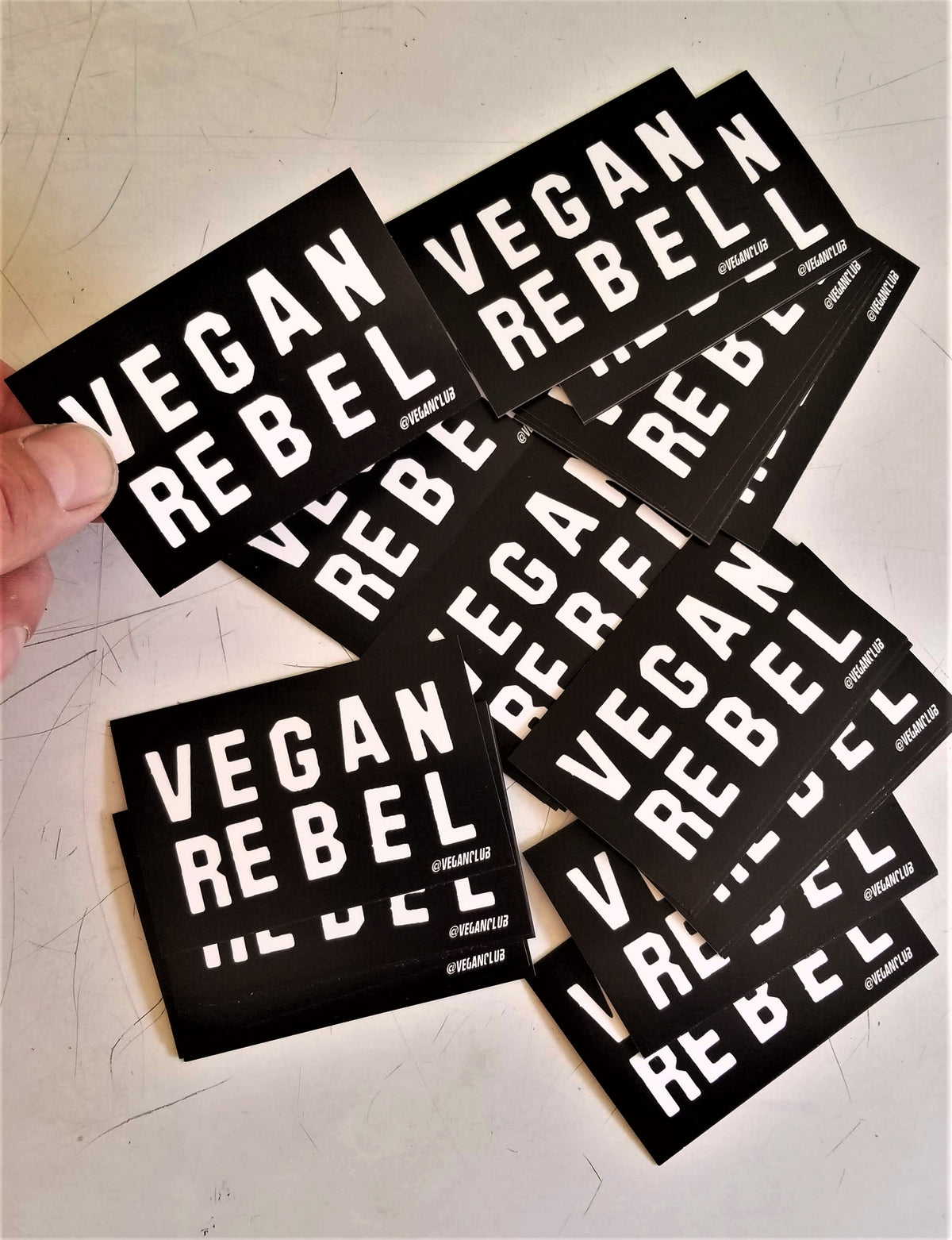 SOLD OUT - 12 Small Vegan Rebel Stickers