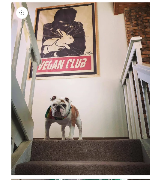 NewsPrint Poster Vegan Club feat. ALF Rabbit Rescue Animal Liberation Front