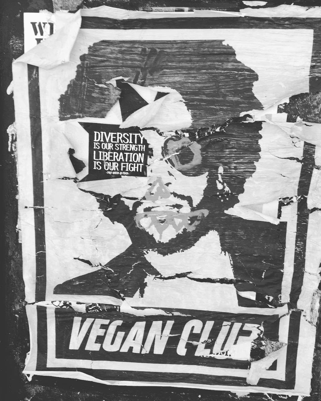 Street Art NewsPrint Poster Vegan Club featuring Lenny Kravitz - pic by @violetresin