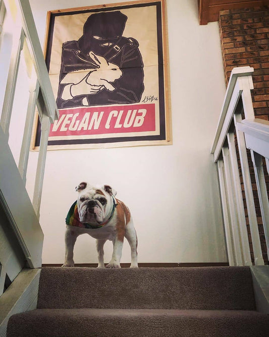 NewsPrint Poster Vegan Club feat. ALF Rabbit Rescue Animal Liberation Front
