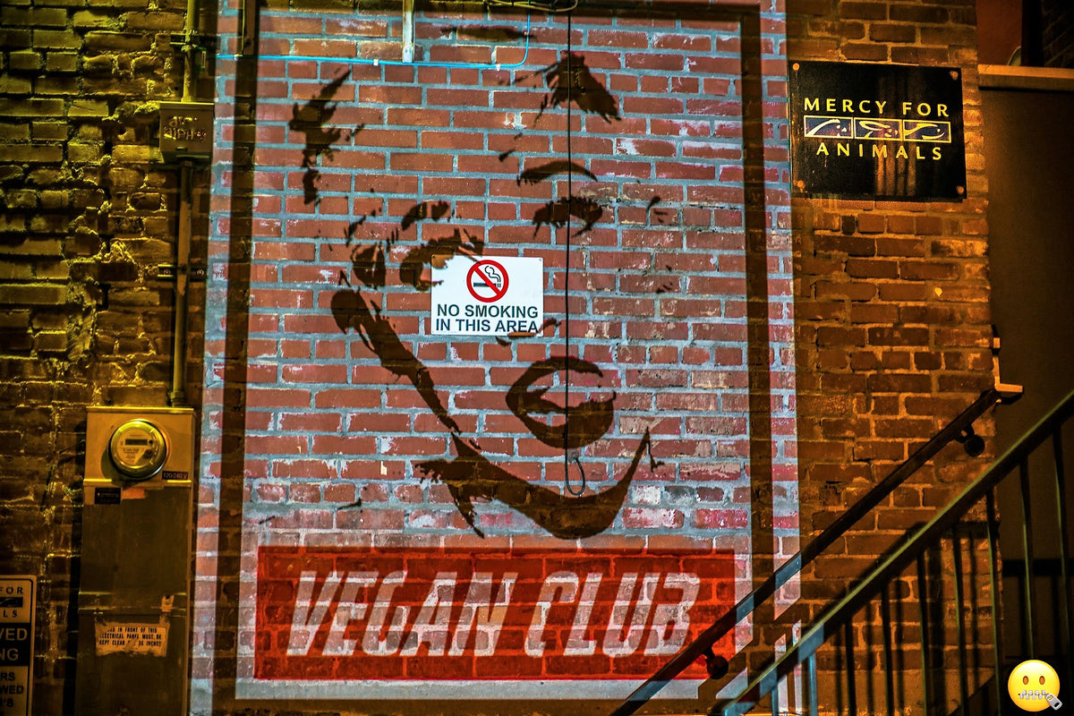 Live Mural Projection Indoor & Outdoor featuring Anti-Trump in LA