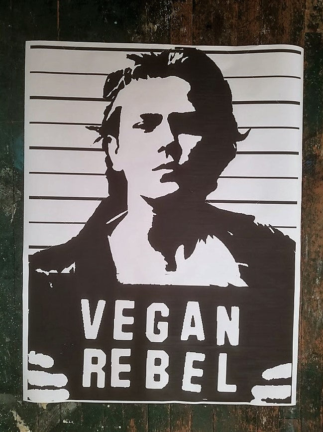 Limited Edition Street Art NewsPrint Poster Vegan Rebel mug shot featuring River Phoenix