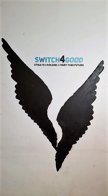 Switch4Good Branding Logo Design Wings of Niki