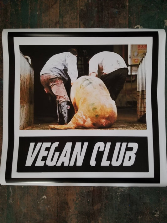 Pig pulled to slaughter photography