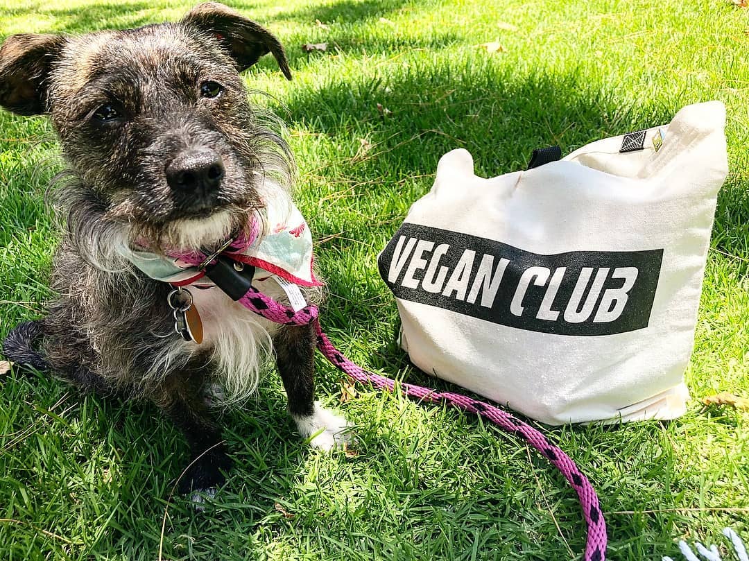 Vegan Club Tote Bag