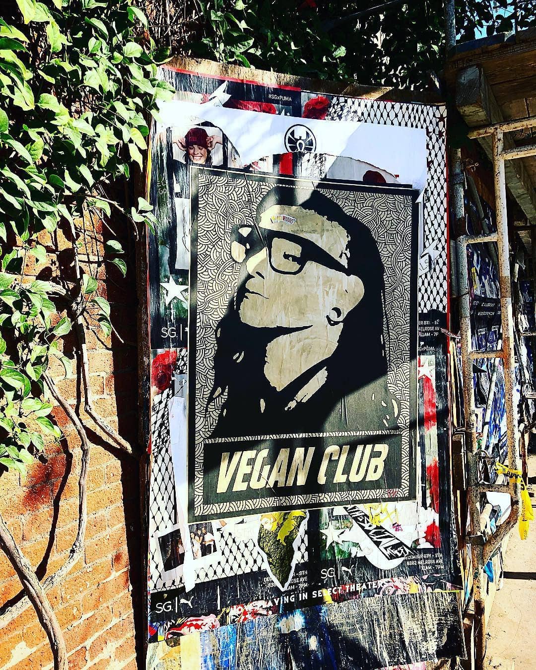 Street Art NewsPrint Poster Vegan Club featuring Skrillex by Le Fou Collab with @humanetrafficking