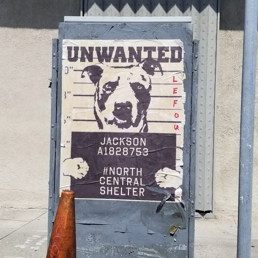 Your Dog Poster To Rescue from the Shelter
