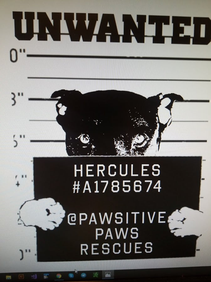 Your Dog Poster To Rescue from the Shelter