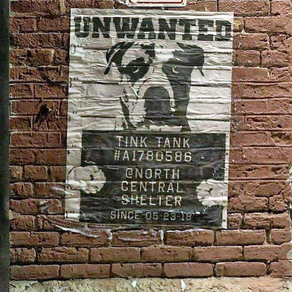 Tink Tank - Unwanted Dog NewsPrint - Alert, needs a home ASAP!