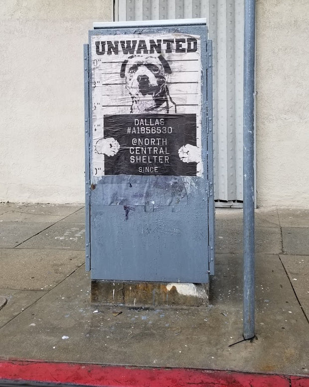 Dallas - Unwanted Dog NewsPrint