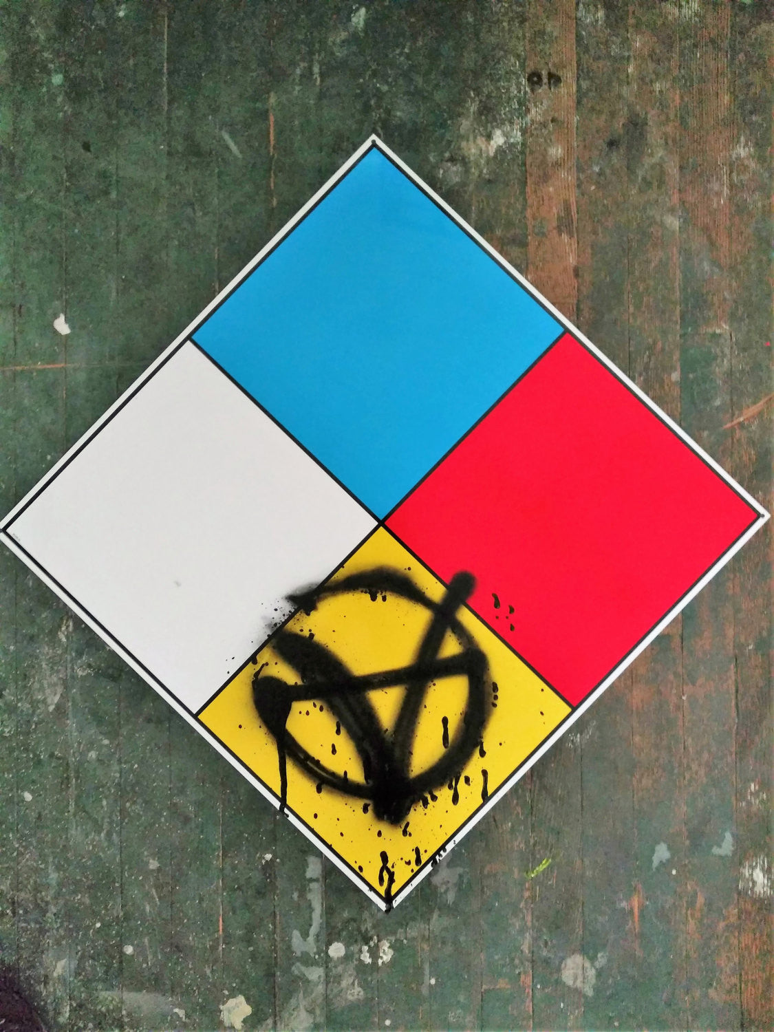Vegan Anarchy Artist Circle V Street Sign 24x24 art by Le Fou