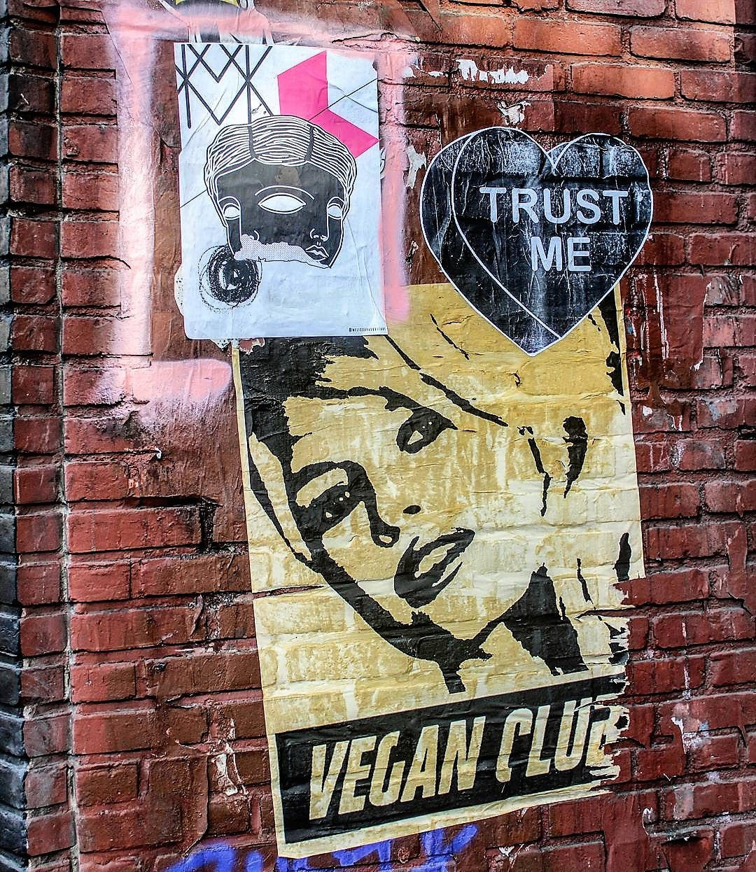 Street Art NewsPrint Poster Vegan Club featuring BB Bebe Brigitte Bardot Signed L3f0u